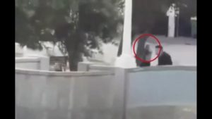 Σίδνεϊ: Η στιγμή που αστυνομικός πυροβολεί κι εξουδετερώνει έναν από τους δύο μακελάρηδες (βίντεο)