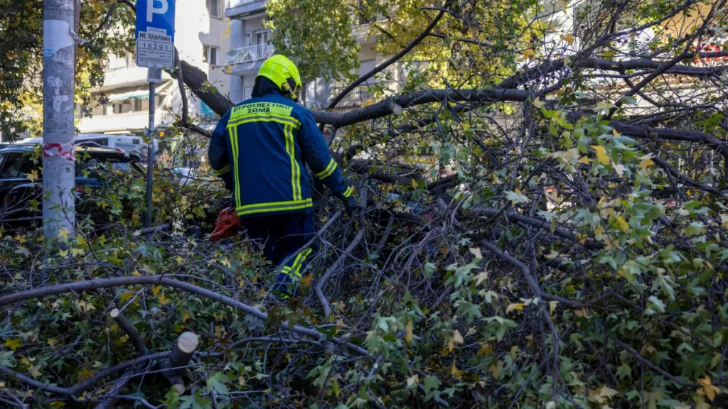 Θεσσαλονίκη: Οι θυελλώδεις άνεμοι έριξαν 28 δέντρα και προκάλεσαν ζημιές σε ηλεκτροφόρα καλώδια στον Δήμο Θέρμης