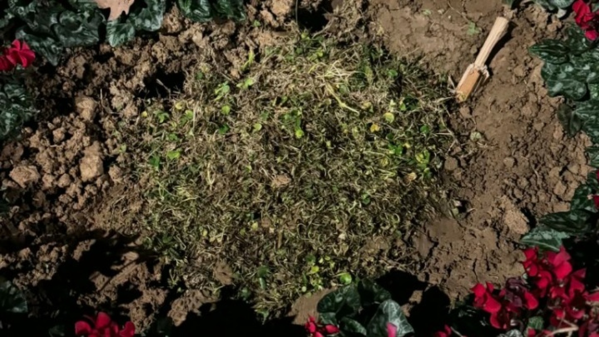 Θεσσαλονίκη: Άγνωστοι ξήλωσαν τη μαρμάρινη πλάκα αφιερωμένη σε θύματα κακοποίησης