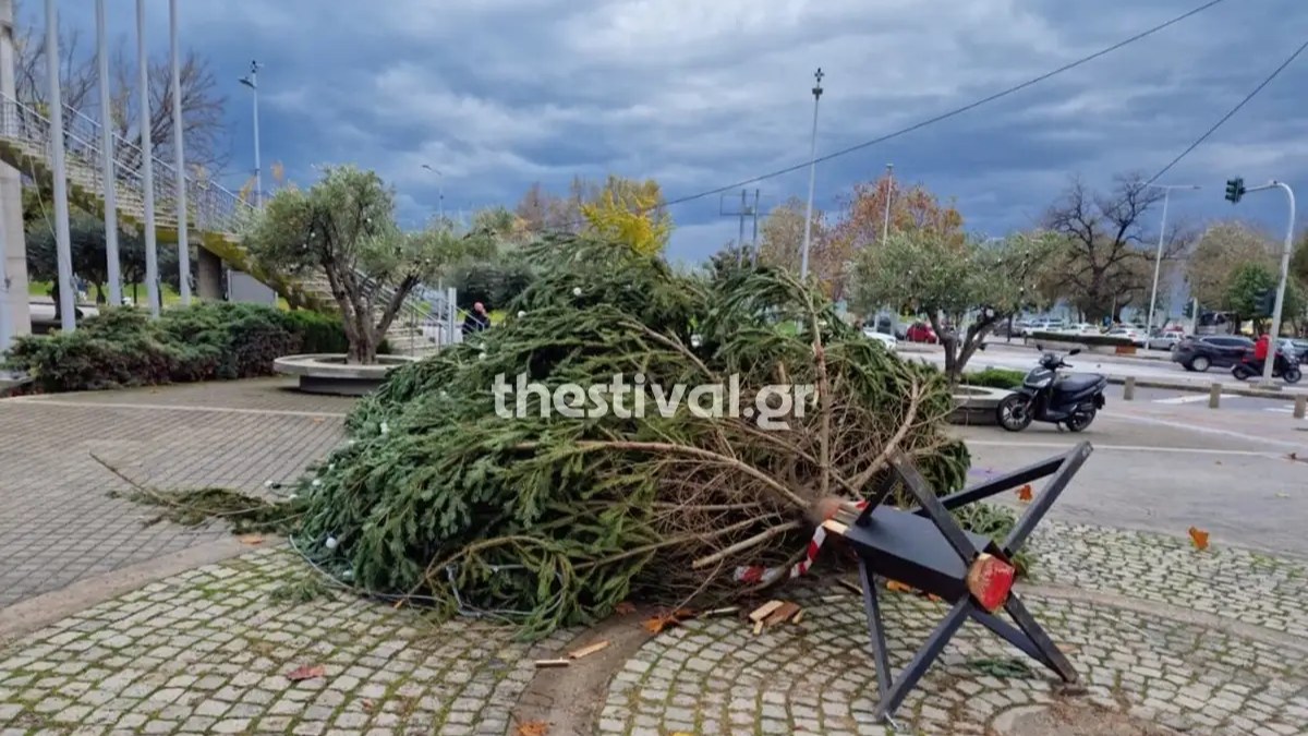 Θεσσαλονίκη: Έπεσε από τους ισχυρούς ανέμους το δέντρο μπροστά από το δημαρχείο (βίντεο)