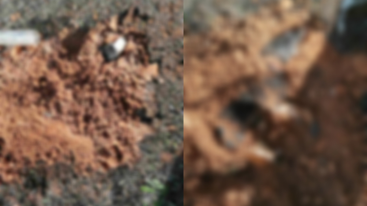 Θεσσαλονίκη: Σοκάρουν οι εικόνες από το σημείο όπου ο 90χρονος είχε θάψει ζωντανό το άτυχο σκυλί – Το μήνυμα της ΕΛΑΣ