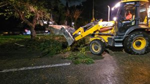 Κακοκαιρία Byron: Έπεσε δέντρο στο Χαλάνδρι – Έκλεισε προσωρινά η Παπανικολή (Βίντεο – Φωτογραφίες)