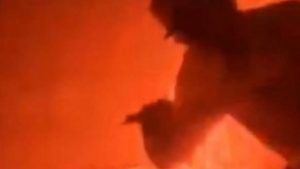 Χαβάη: Νεαροί ποζάρουν δίπλα στη λάβα μπροστά σε κάμερα επιστημόνων μετά από έκρηξη ηφαιστείου (βίντεο)