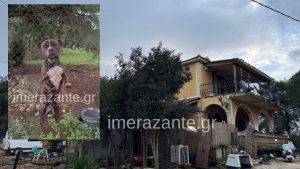 Ζάκυνθος: Πώς έχασε τη ζωή του το 2χρονο αγόρι από την επίθεση σκύλου – «Το μάζεψα από τον δρόμο και μου έφαγε το παιδί»