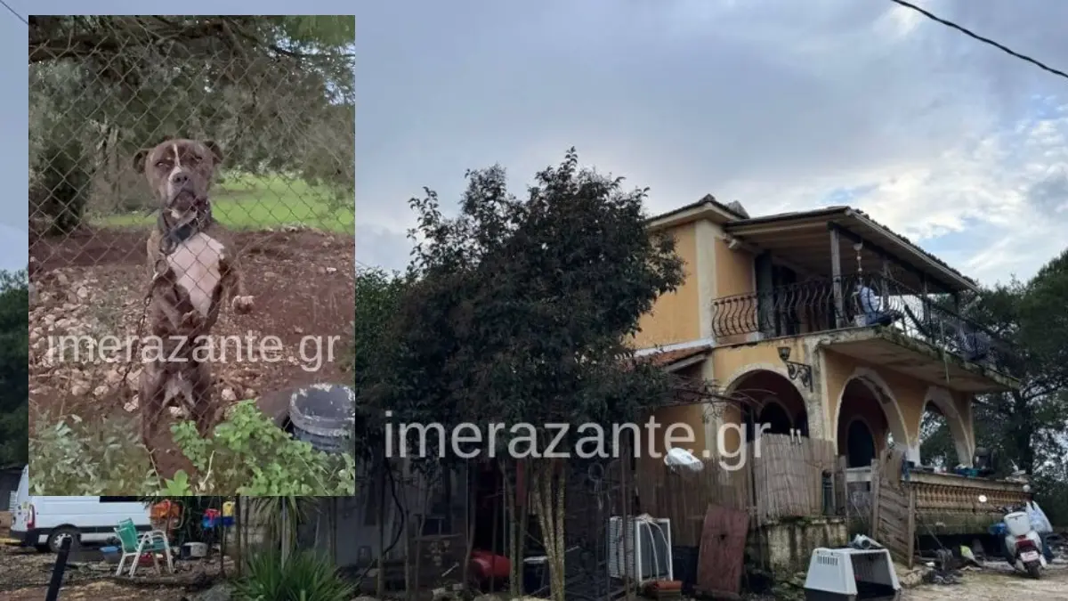 Ζάκυνθος: Πώς έχασε τη ζωή του το 2χρονο αγόρι από την επίθεση σκύλου – «Το μάζεψα από τον δρόμο και μου έφαγε το παιδί»