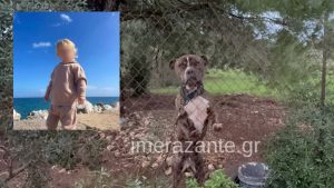 Ζάκυνθος: Συγκλονίζει ο πατέρας του 2χρονου που έχασε τη ζωή του από επίθεση σκύλου – «Το μάζεψα ετοιμοθάνατο και μου σκότωσε το γιο»