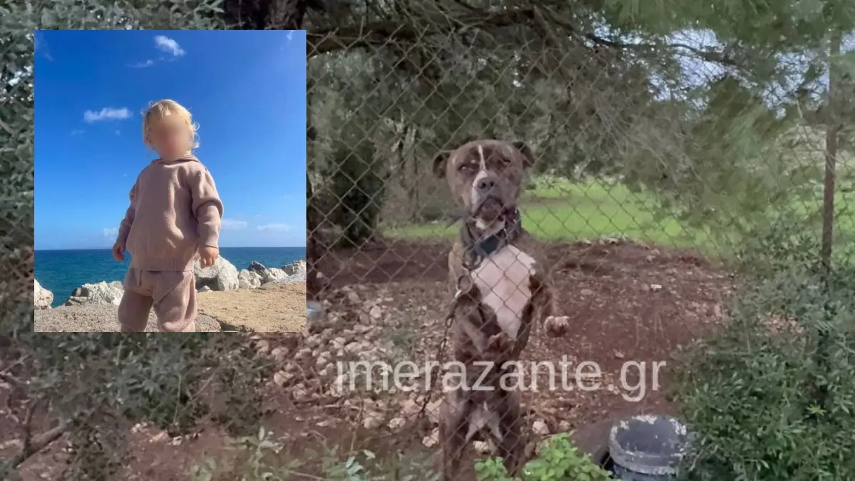 Ζάκυνθος: Συγκλονίζει ο πατέρας του 2χρονου που έχασε τη ζωή του από επίθεση σκύλου – «Το μάζεψα ετοιμοθάνατο και μου σκότωσε το γιο»
