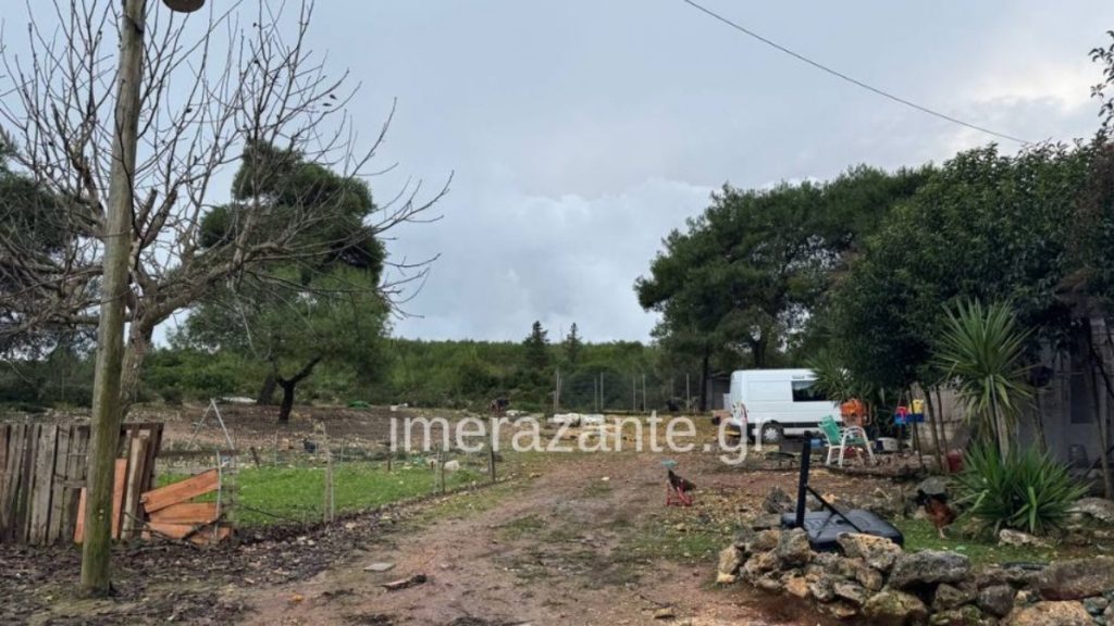 Ζάκυνθος: Κλιμάκιο από την Πάτρα θα αποφασίσει αν θα θανατωθεί το πιτ μπουλ που κατασπάραξε τον δίχρονο