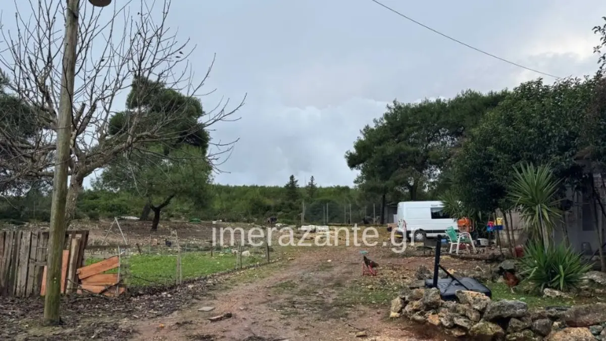 Ζάκυνθος: “Το πίτμπουλ τρόμαξε από πυροβολισμούς κυνηγών και κατασπάραξε τον Λίο” λέει η μητέρα του δίχρονου