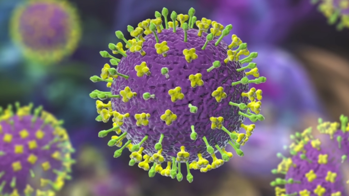 Θανατηφόρος ιός Νίπα: Πόσο πιθανό είναι να ξεφύγει εκτός Ινδίας; Ο ΠΟΥ απαντά