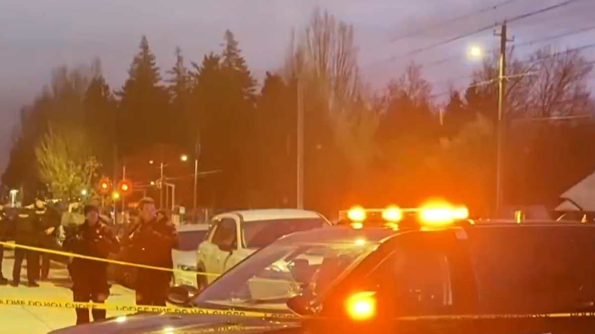 Πόρτλαντ: Συνοριοφύλακες άνοιξαν πυρ εναντίον αυτοκινήτου – Δύο τραυματίες (βίντεο)