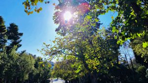 Αίθριος ο καιρός σήμερα: Ανεβαίνει η θερμοκρασία – Ηλιοφάνεια και αραιές νεφώσεις