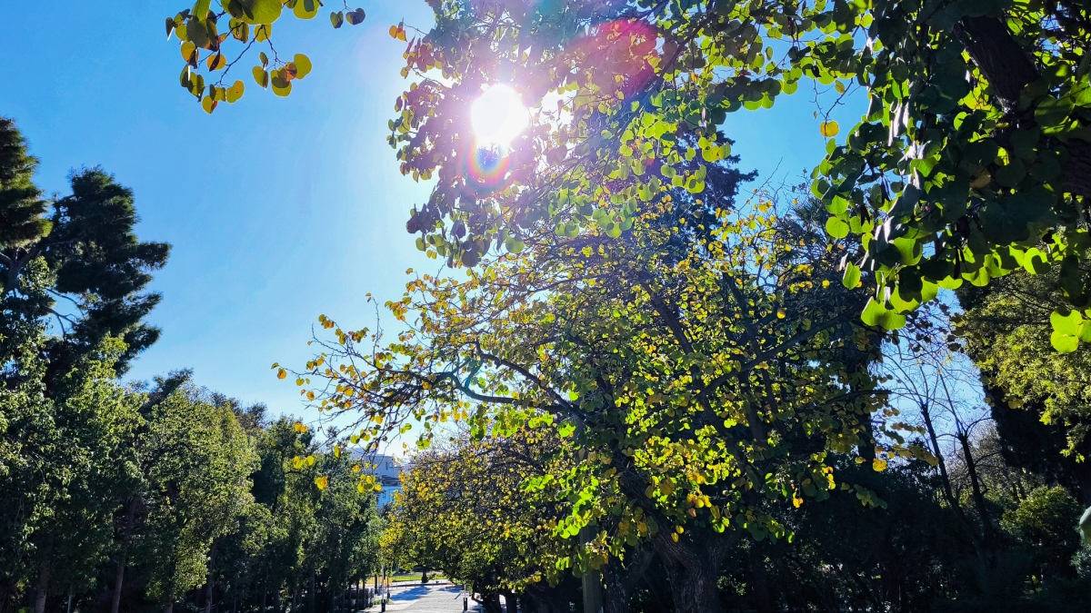 Αίθριος ο καιρός σήμερα: Ανεβαίνει η θερμοκρασία – Ηλιοφάνεια και αραιές νεφώσεις