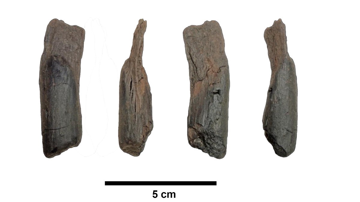 Στη Μεγαλόπολη Αρκαδίας τα αρχαιότερα  ξύλινα εργαλεία παγκοσμίως, ηλικίας 430.000 ετών (Φωτογραφίες)
