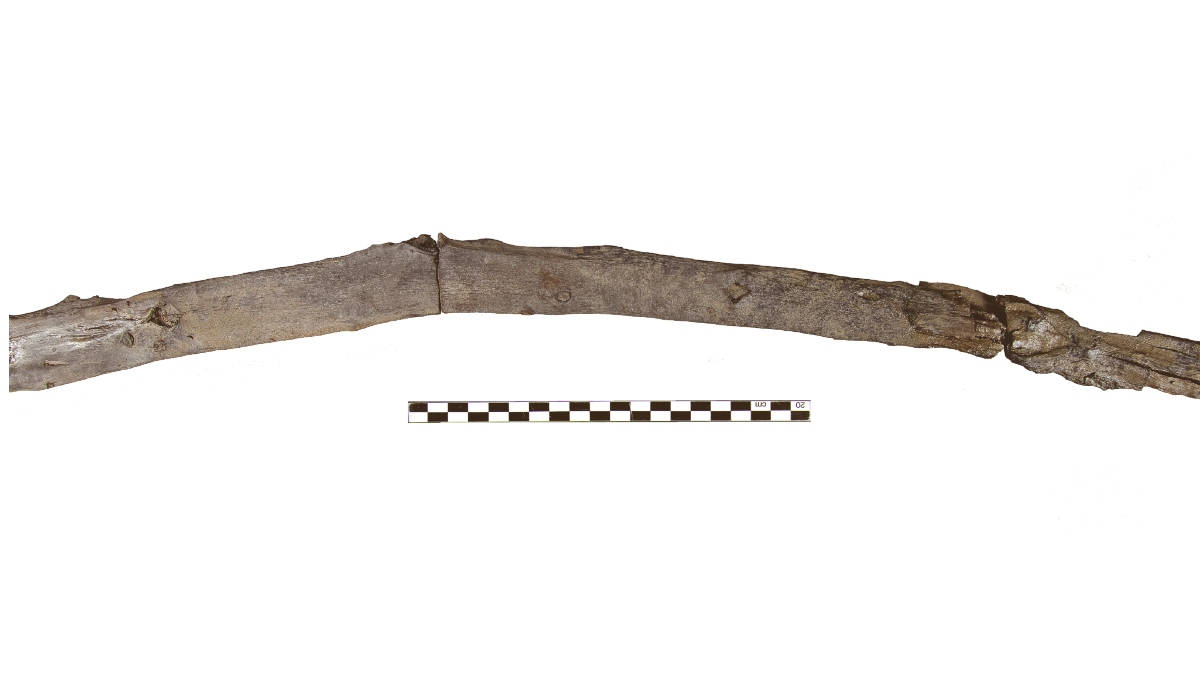 Ξύλινα εργαλεία