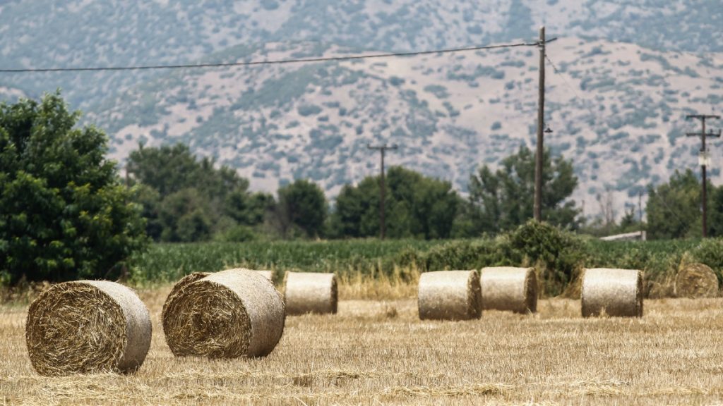 Νέες εξαγωγικές προοπτικές για τα ελληνικά αγροδιατροφικά προϊόντα από τη συμφωνία ΕΕ – Mercosur