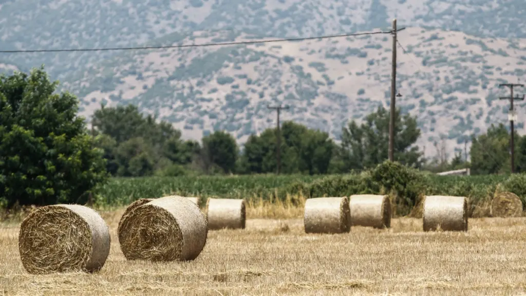 Νέες εξαγωγικές προοπτικές για τα ελληνικά αγροδιατροφικά προϊόντα από τη συμφωνία ΕΕ – Mercosur