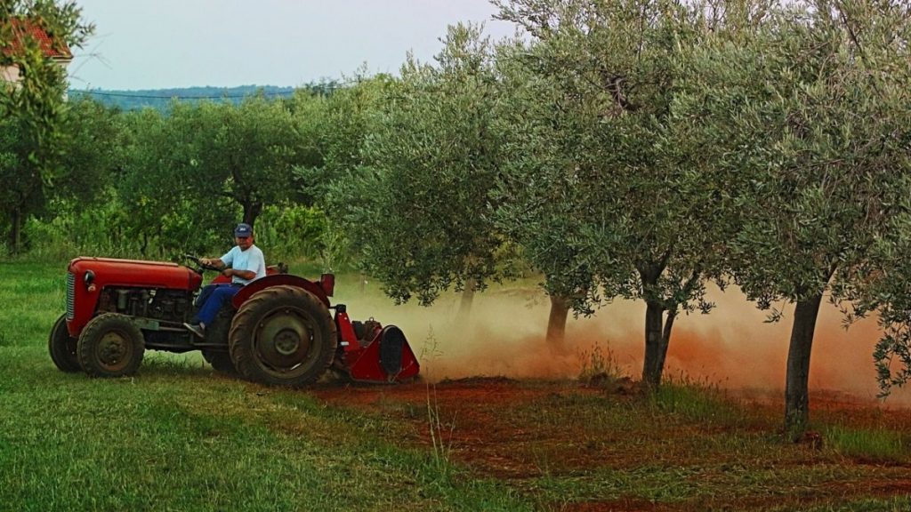 Συμφωνία Mercosur: Πώς θα προστατεύονται οι Έλληνες παραγωγοί και τα 21 ελληνικά ΠΟΠ προϊόντα