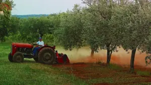 Αγροτικές ενισχύσεις: Προς πληρωμή 83,6 εκατ. ευρώ σε 71.920 δικαιούχους
