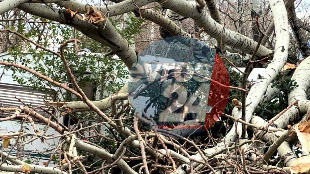 Αλεξάνδρούπολη: Η πόλη μετράει τις πληγές της μετά το σαρωτικό πέρασμα της κακοκαιρίας (βίντεο + εικόνες)