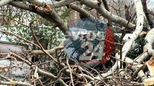 Αλεξάνδρούπολη: Η πόλη μετράει τις πληγές της μετά το σαρωτικό πέρασμα της κακοκαιρίας (βίντεο + εικόνες)