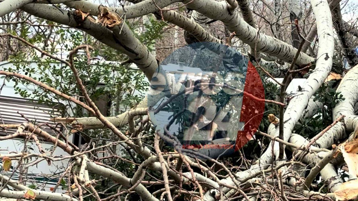 Αλεξάνδρούπολη: Η πόλη μετράει τις πληγές της μετά το σαρωτικό πέρασμα της κακοκαιρίας (βίντεο + εικόνες)