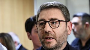 Ανδρουλάκης: “Σε οριακό σημείο οι κτηνοτρόφοι εξαιτίας του επιχειρησιακού φιάσκου της ΝΔ”