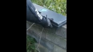 Βίντεο από επιχείρηση της ΕΛΑΣ στον Ασπρόπυργο για ρευματοκλοπές – 10 συλλήψεις, κατασχέθηκε και μία καραμπίνα