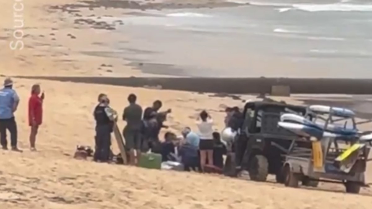 Αυστραλία: Σέρφερ τραυματίστηκε από την επίθεση καρχαρία στο Σίδνεϊ (βίντεο)