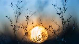 Blue Monday 2026: Ο λόγος που η σημερινή μέρα είναι η πιο καταθλιπτική και δύσκολη του χρόνου