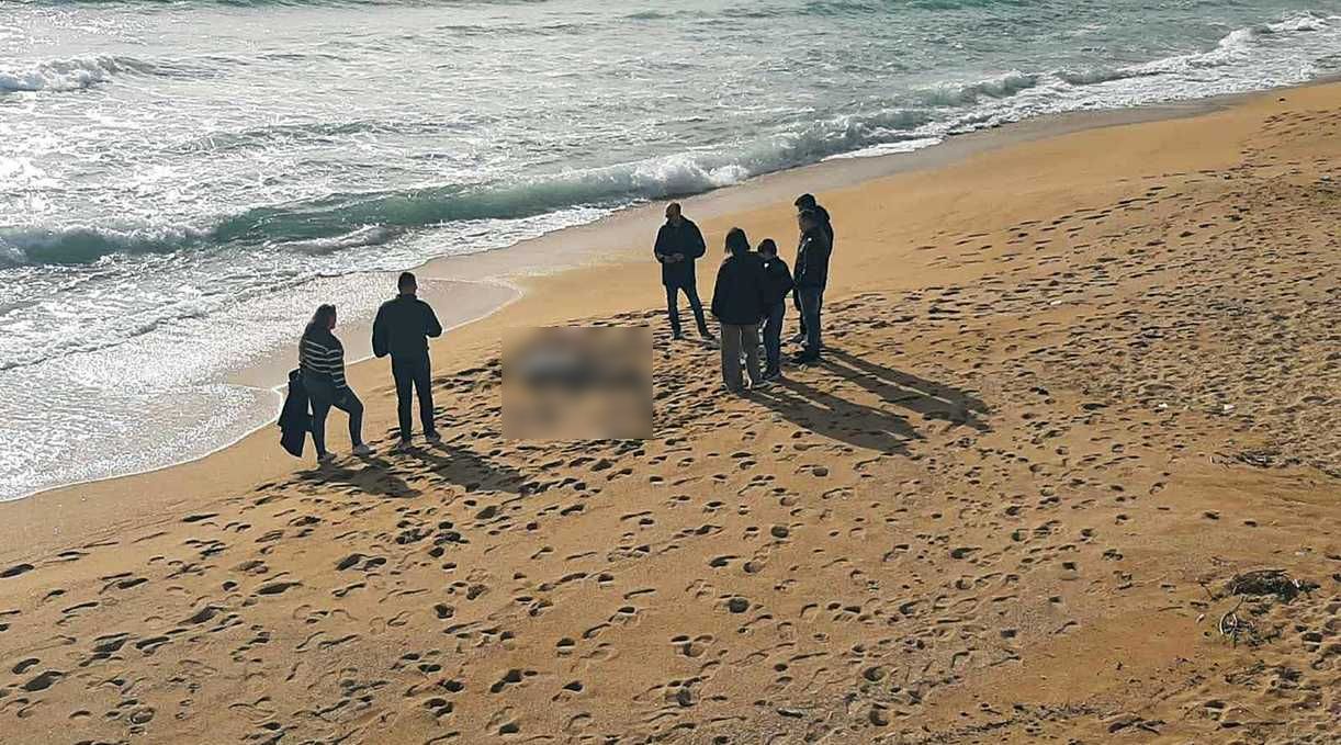 Εντοπίστηκε νεκρό δελφίνι σε παραλία της Καβάλας – Είχε δεμένο σκοινί στην ουρά του
