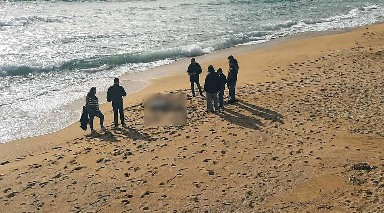 Εντοπίστηκε νεκρό δελφίνι σε παραλία της Καβάλας – Είχε δεμένο σκοινί στην ουρά του