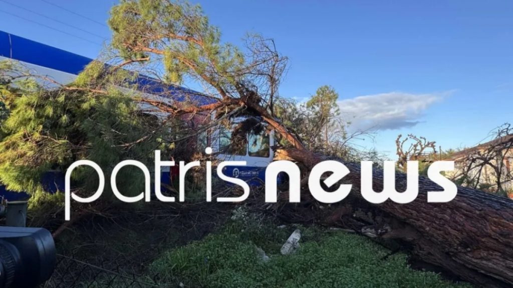 Δέντρο έπεσε σε τρένο στο δρομολόγιο Πύργος – Κατάκολο: Τραυματίστηκε ο μηχανοδηγός (φωτογραφίες)