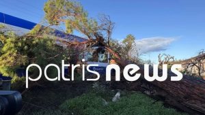 Δέντρο έπεσε σε εν κινήσει τρένο στη γραμμή Πύργος – Κατάκολο – Τραυματίστηκε ο μηχανοδηγός (φωτογραφίες)