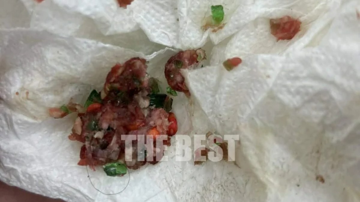 Σοκ στην Πάτρα: Άφησαν κιμά με ποντικοφάρμακο και γυαλιά έξω από pet shop – Νεκρά δύο γατάκια (βίντεο)