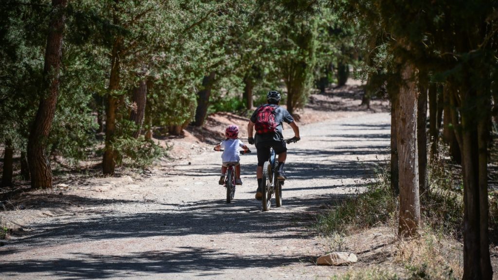Διευκρινίσεις από τον ΔΕΔΔΗΕ για το έργο υπογειοποίησης στον Υμηττό