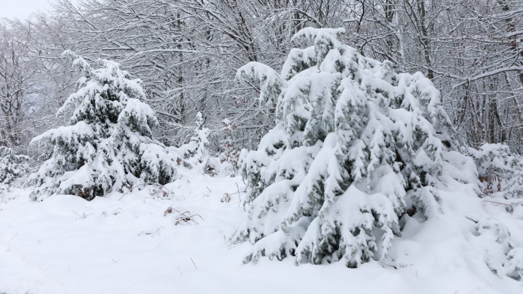 Έκτακτο δελτίο επιδείνωσης του καιρού: Κατακόρυφη πτώση της θερμοκρασίας – Πού θα χιονίσει