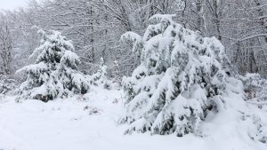 Έκτακτο δελτίο επιδείνωσης του καιρού: Κατακόρυφη πτώση της θερμοκρασίας – Πού θα χιονίσει
