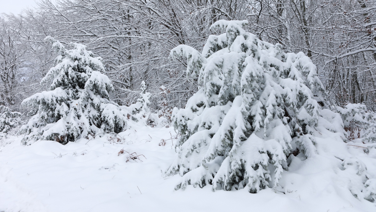 Έκτακτο δελτίο επιδείνωσης του καιρού: Κατακόρυφη πτώση της θερμοκρασίας – Πού θα χιονίσει