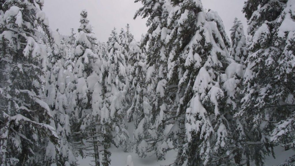 Παγωμένη Πρωτοχρονιά με -20 βαθμούς στο Βαθύσταλο Παρνασσού και -14,6 στο Σέλι