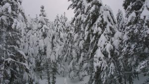 Παγωμένη Πρωτοχρονιά με -20 βαθμούς στο Βαθύσταλο Παρνασσού και -14,6 στο Σέλι