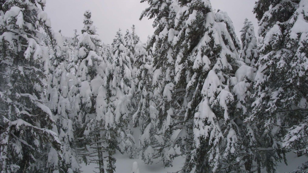 Παγωμένη Πρωτοχρονιά με -20 βαθμούς στο Βαθύσταλο Παρνασσού και -14,6 στο Σέλι
