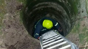 Λάρισα: Σκύλος διασώθηκε από πηγάδι βάθους 7 μέτρων
