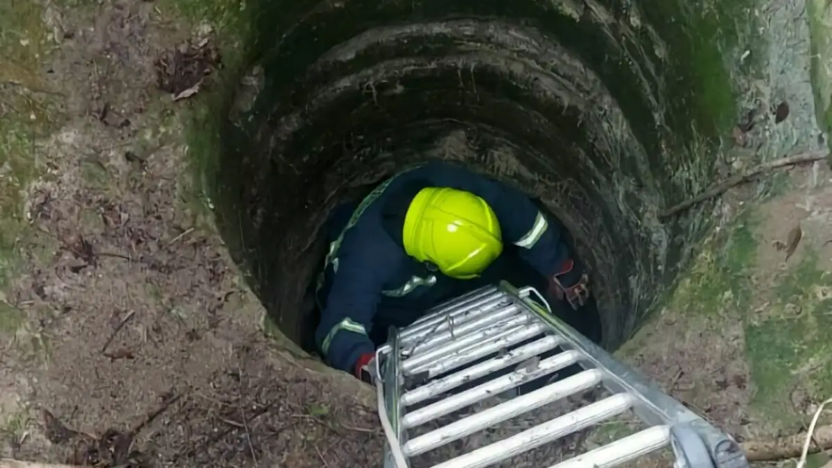 Λάρισα: Σκύλος διασώθηκε από πηγάδι βάθους 7 μέτρων