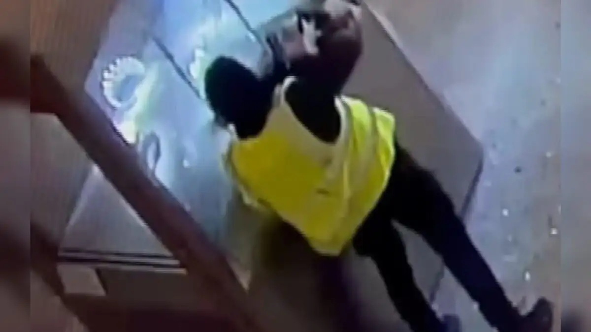 Λούβρο: Βίντεο ντοκουμέντο από τη θεαματική κλοπή – Έσπασαν τις βιτρίνες με τροχό