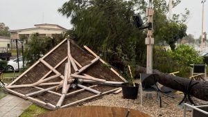 Ανεμοστρόβιλος σάρωσε το Μεσολόγγι – Ξερίζωσε δέντρα και παρέσυρε μεταλλικές κατασκευές (εικόνα +βίντεο)