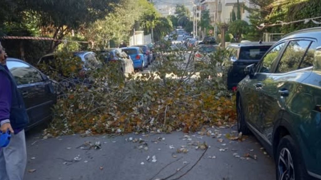 Έπεσαν κλαδιά από τον αέρα στο Νέο Ψυχικό (Φωτογραφία)