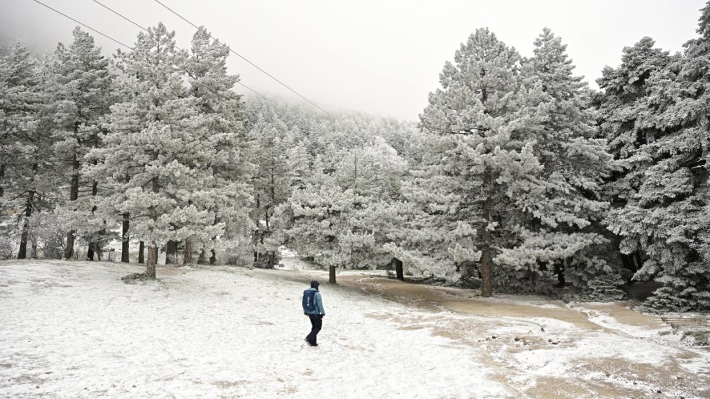 Η Πάρνηθα “ντύθηκε” στα λευκά – Δεκάδες πολίτες στο καταφύγιο Μπάφι για να απολαύσουν το σκηνικό (φωτογραφίες)