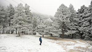 Η Πάρνηθα “ντύθηκε” στα λευκά – Δεκάδες πολίτες στο καταφύγιο Μπάφι για να απολαύσουν το σκηνικό (φωτογραφίες)