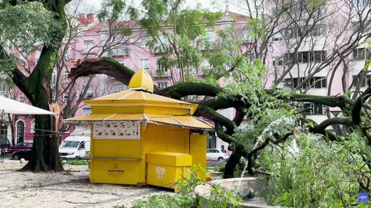 Πορτογαλία: Δύο νεκροί από την καταιγίδα Kristin – 800.000 νοικοκυριά χωρίς ρεύμα (Βίντεο)